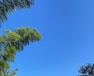 あなたに寄り添い、お悩みお聞きします お話終わった後は、心が楽になります。 イメージ3