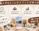 SNS投稿に使える豆知識テンプレ20枚を販売します 「投稿ネタに困ったときに！見やすくまとめた情報画像集」 イメージ4