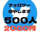 Twitterの日本人フォロワー増加を応援します 格安！補填あり！凍結リスク無！ Twitterﾌｫﾛﾜｰ増加 イメージ1