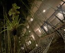 簡単にマインドを肯定的に書き換える方法を知れます この方法を知ることでマインドを肯定的に書き換えていけます！ イメージ2