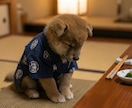 実写風の動物AI動画制作/台本〜編集します 実写みたいに動く。動物AIショートを1本から制作します イメージ4