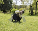 あなたの写真に絵を添えて、心温まる作品にします 思い出の写真を心温まる作品に、贈り物や待ち受け画像にも イメージ6