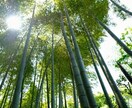 否定しません。全部受け止めます 自分も色々あったからこそ人の話を真剣に聞きます イメージ1