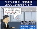キャッチコピー事例集３３０選のＰＤＦを提供します 売上アップを急ぐ方！「キャッチコピーの極意」動画特典付き！ イメージ5
