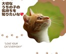 あなたの大事なにゃんこの気持ちを占います 猫の気持ちを知りたいあなたのための「にゃんこ鑑定」 イメージ4