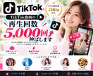 TikTok再生回数を＋5,000回伸ばします 【30日間保証付】TikTokの投稿再生回数を伸ばして拡散！ イメージ1