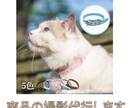 カメラマンによる商品画像の撮影代行を行います 商品画像撮影代行 1商品(10枚まで)　8000円 イメージ1