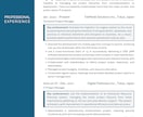 英文履歴書の作成をお手伝いします 英語の専門家が完璧な英文履歴書を作成します。 イメージ5