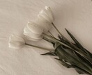 モデルの卵・芸能の卵の子たち悩み相談のります 生活の相談・お金などいろいろな相談乗ります イメージ1