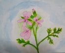 絵人（画家）が、お好みの花、誕生花を描きます 透明水彩とガッシュを使って描きます イメージ2