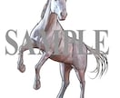 プロイラストレーターが馬のイラスト制作します 乗馬歴10年以上、元出版社専属イラストレーターが制作します！ イメージ1