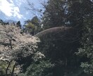 さくちゃんの恋愛相談室 お話聞きます ちょっとだけあなたの心の中除きます♪ イメージ2