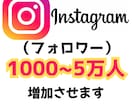 インスタ・フォロワー1000人追加します Instagram グローバルフォロワー付与　高品質 イメージ1
