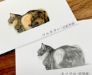 大切なペットとの思い出を鉛筆・色鉛筆画にします 大切な家族との幸せな時間を、温もりある作品として残します イメージ6