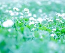 貴方のお話何でも聞きます INFJヒーラー二児の母‪✿‪貴方の心の拠り所✿ イメージ4
