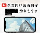 企業向け動画制作いたします 企業様のPR動画・広告動画制作いたします。 イメージ1