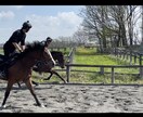 馬に関する事ならなんでも完全個別指導致します 1年間厩務員、2年間育成牧場、父は現役ジョッキー、母は調教師 イメージ2