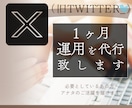 完全手動（旧Twitter）X運用代行致します リピ継続率90%への感謝を込めて割引中。一度ご相談下さい。 イメージ1
