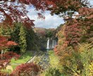 心体を整え自然におだやかに調律します 心体を自然な状態へ導く優しい整え、速さより丁寧に浄化します イメージ7