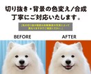 写真加工・切り抜き・画像のレタッチ承ります 背景透過/白抜き/切り抜き/合成/なんでもご相談ください！ イメージ2