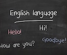 英文読解のレッスンをオンラインで行います 英会話は得意だけれど文法がニガテ、英語の読解力を上げたい方へ イメージ1