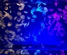 絶対喜んでもらえるデートプランをご提案します デートプランを考えるのが面倒、お困りのあなたへ イメージ4