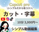 シンプルな動画編集をします HSPクリエイターが作るシンプルで低コストな動画 イメージ1