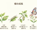 わかりやすいオリジナル図解を作成します 文章だけでは伝わりにくい内容を、見やすい図解にまとめます イメージ3