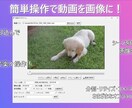 動画を画像に変換！シーンやフレームごとに分割します 動画から欲しいシーンを瞬時にキャプチャ！ イメージ3