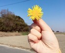 皆さんの悩んでる事、一緒に解決します 1人ではどうにもならなくなった時、はなしたくなったらどうぞ。 イメージ2
