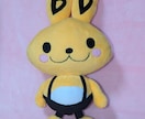 オリジナルぬいぐるみのオーダーお受けします あなたの「うちの子」を形に！HAPPYぬいLIFE！ イメージ9