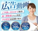 SNS・駅中広告・WebCMなど広告動画編集します 【初めての依頼でも安心！】「ご予算」に合わせて動画を制作！ イメージ1