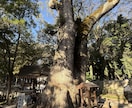 熱田神宮や愛知県周辺の神様へ代理参拝を致します 丁寧に参拝し様子を写真や動画で共有致します。 イメージ5