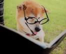 ストレスになっているその文書、代読します 【代読屋】代わりに読みます。一緒に話しましょう!! イメージ2