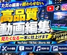 YouTubeに投稿する動画の編集をいたします 丁寧な対応で理想の動画制作イメージに合わせて柔軟に編集 イメージ1