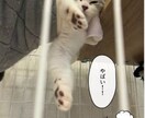 大切なペット写真集をペーパーバックで制作します 一緒に過ごす幸せ　癒しと笑顔の瞬間を写真集で残そう イメージ6