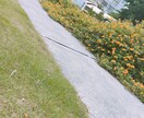 通話で雑談、愚痴、相談などなんでもお話を聞きます いつでもご気軽に。お友達としてゆっくり、お話を聞きます。 イメージ1