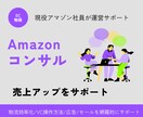 Amazon売上UPに向けて1カ月間コンサルします 現役アマゾン社員がマンツーマンでサポート/初・中級者向け イメージ1