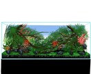 あなたの理想の水槽、カタチにします はじめてでも安心。デザインから設備まで、まるごとサポート イメージ8