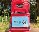 写真入りペットのカート用ネームプレートを作成します イベントが楽しくなる！デザイナーの高品質セミオーダー送料込 イメージ1
