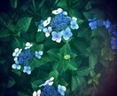 あなたの気持ちを大切にゆっくりお話お聞きします 心が楽になりますように(* u.u)安心して話せる場所です イメージ5