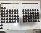 白髪染め知識、市販カラープロ用カラーの違い教えます ホームカラー革命、皆様が驚くようなこと裏技をお教えします。 イメージ1