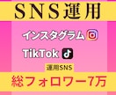 現SNS運用者が運用します 先着10名までこの価格でご提供します！ イメージ1