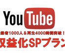 登録1000人＆4000時間拡散します 登録1000人＆4000時間拡散します収益化条件突破可能！！ イメージ1