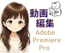 youtube動画編集いたします 元介護士がきめ細やかな心配りであなたの動画を編集します イメージ1
