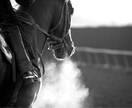 競馬投資法を伝授します まずは回収率をご覧ください！メッセージにて対応します！ イメージ1