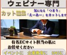 ウェビナー専門　「カット編集」を作成します 「イベント」に「企業教育」に「SNS」にアイデア次第でご活用 イメージ2