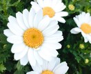 5分でもOK!ちょっとだけのお話でもつきあいます とにかく気楽にお話ししたい方へ！ イメージ1