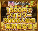 インスタフォロワーを3000人増加します 外国人フォロワー専門店だから激安！！！ イメージ1
