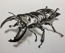 昆虫/奇蟲/魚類/動植物のイラスト制作できます ちょっと変わった生き物が好きで、供給が少なくて悩んでいる方へ イメージ3
